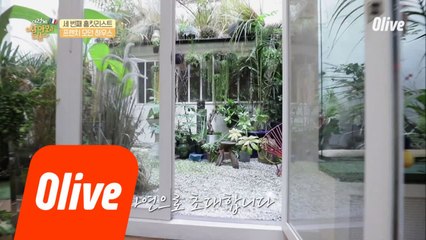 집 안에 있는 작은 정원!! (나도 갖고싶다...)