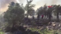 Antalya Kaş'ta Zeytinlik ve Fundalık Alanda Yangın