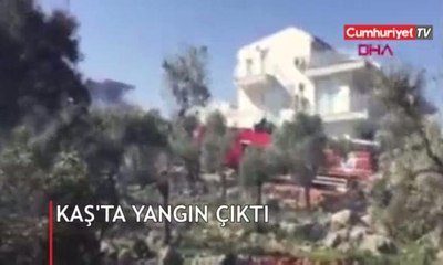 Kaş'ta zeytinlik ve fundalık alanda yangın