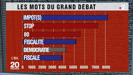 Le Grand Débat est-il biaisé par des entreprises et associations ? France 2 a fait une découverte étonnante...