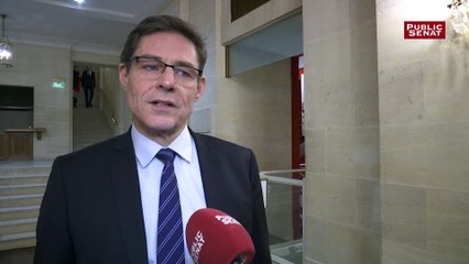 Télécharger la video: « Une grande partie » du groupe LR au Sénat votera contre la privatisation d'ADP, annonce Dallier