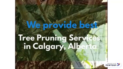 Tree Pruning Services in Calgary, Alberta