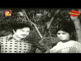 Chirikudukka Full Malayalam Movie 1976 | Old Malayalam Hits