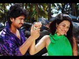 Full Kannada Movie 2004 | Sindhu | Sanjay, Vanishri, Shrinivas murthy.