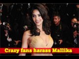 Mallika Sherawat attacked!
