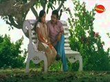 Malayalam Movie || Fiddle (2010) || Full Malayalam Drama Movie