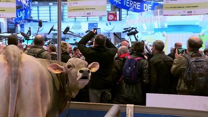 [EXTRAIT] Salon de l’Agriculture : la politique en campagne - 24/02/2019