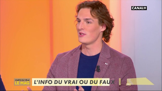 L'info du vrai ou du faux - L'info du vrai du 04/02 - CANAL+
