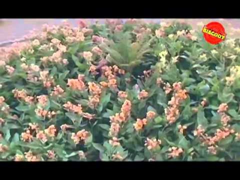 Vaddu Bava Thappu - Telugu Comedy Movie - Rajendra Prasad - Indraja