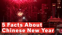 5 Facts About Chinese New Year