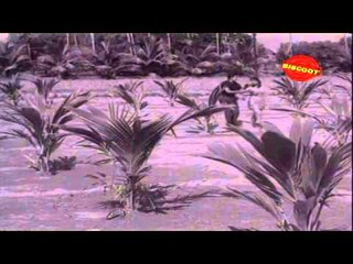 Sithi │ Full Tamil Movie Online │ Gemini Ganesan, Padmini