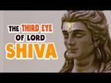 The third eye of Lord Shiva | ARTHA