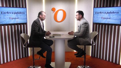 «L’engagement iranien à l’étranger est dénoncé par certains dans le pays», rapporte le journaliste Armin Arefi