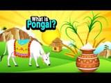 What is Pongal | Thai Pongal 2017 | Artha