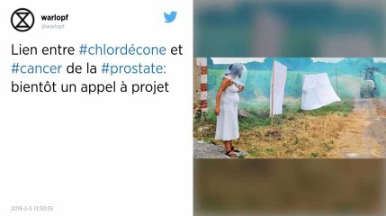 Le chlordécone est-il cancérigène ? Des professeurs et des parlementaires répondent à Macron