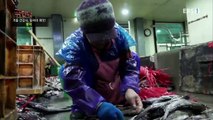 극한직업 - Extreme JOB_겨울 건강식, 말려야 제 맛! 명태와 소고기_#001