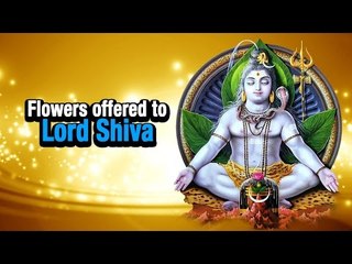 Flowers offered to Lord Shiva | Maha Shivaratri Special | ARTHA | AMAZING FACTS