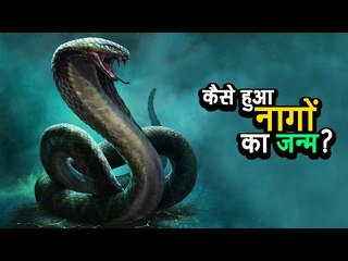 कैसे हुआ नागों का जन्म | नागों की कहानी | अर्था । आध्यात्मिक विचार