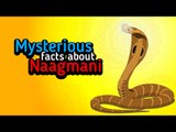 Mysterious facts about Naagmani | ARTHA | AMAZING FACTS