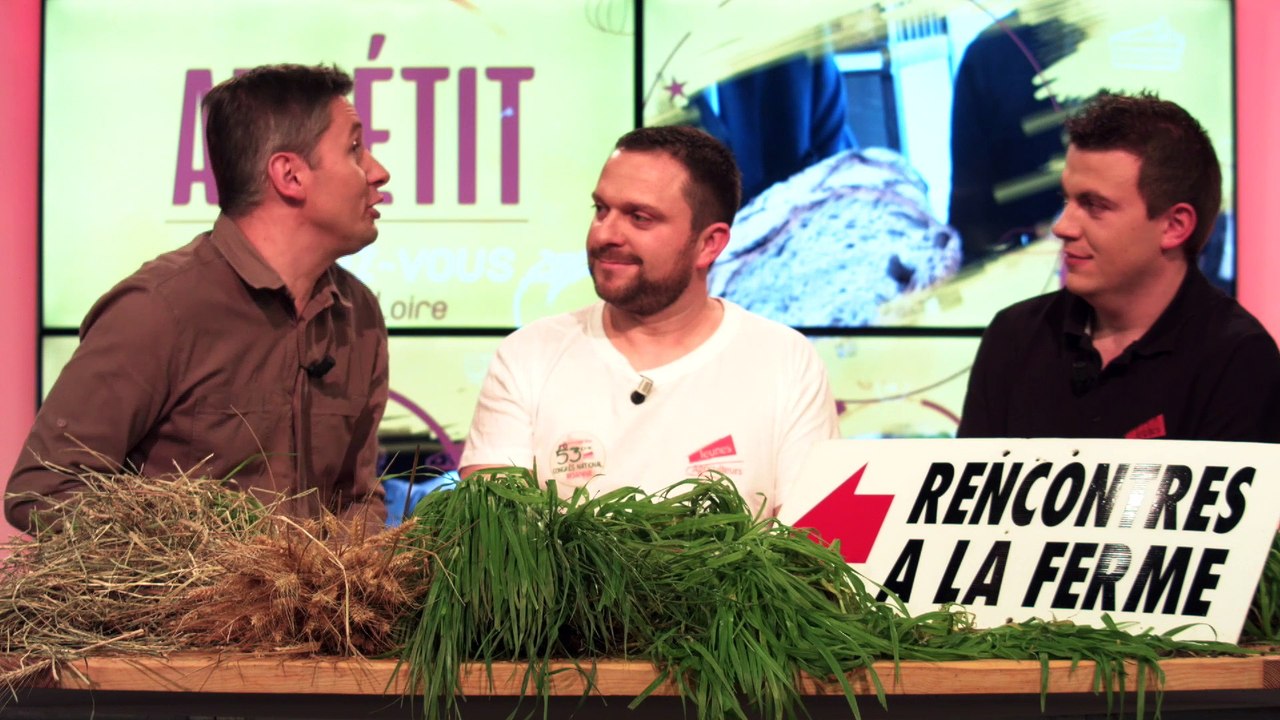 Qu'est ce qu'une coopérative laitière ?