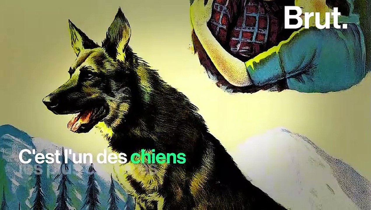 Rintintin, le chien le plus célèbre de l'histoire du 7ème art