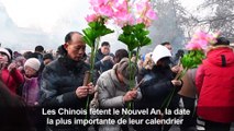 Les communautés chinoises fêtent l'année du cochon