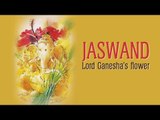 Jaswand - Lord Ganesha’s flower | Sankashti Chaturthi Pooja | ARTHA | Ganesh Chaturthi 2017