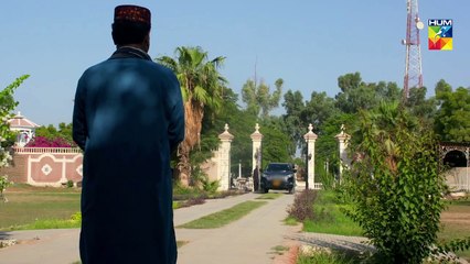 Bisaat e Dil Epi 30 HUM TV Drama 5 February 2019