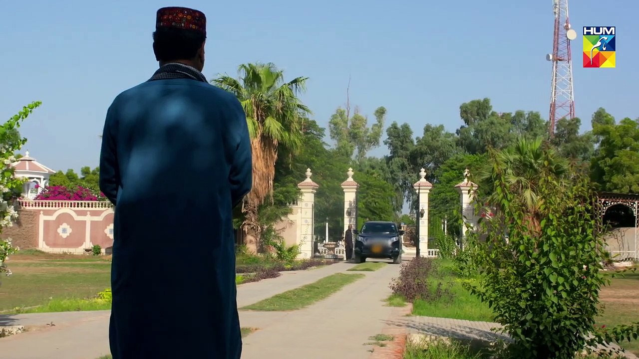 Bisaat e Dil Epi 30 HUM TV Drama 5 February 2019