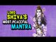 Lord Shiva’s most peaceful mantra | Artha | AMAZING FACTS