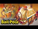 Importance of Bail Pola 2017 | Artha | AMAZING FACTS