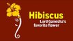 Hibiscus - Lord Ganesha’s favorite flower | Ganesh Chaturthi Special | Ganpati Bappa Morya
