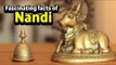 Fascinating facts of Nandi  |  Shiva's Nandi Bail | Artha | AMAZING FACTS