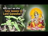 Why can’t we offer Tulsi leaves to Lord Ganesha? Ganesh Utsav Special | Jai Ganesh Deva