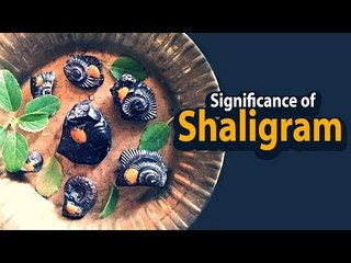 Significance of Shaligram | Shaligram Benefits | Artha