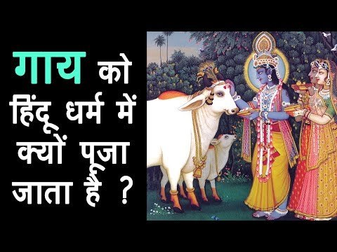 गाय को हिंदू धर्म में क्यों पूजा जाता है ?| Importance of Cow in Hinduism | Cow's benefits | Artha