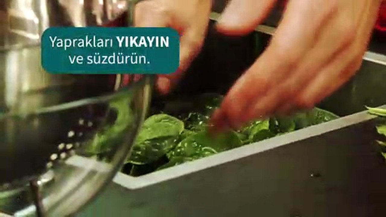 ispanak