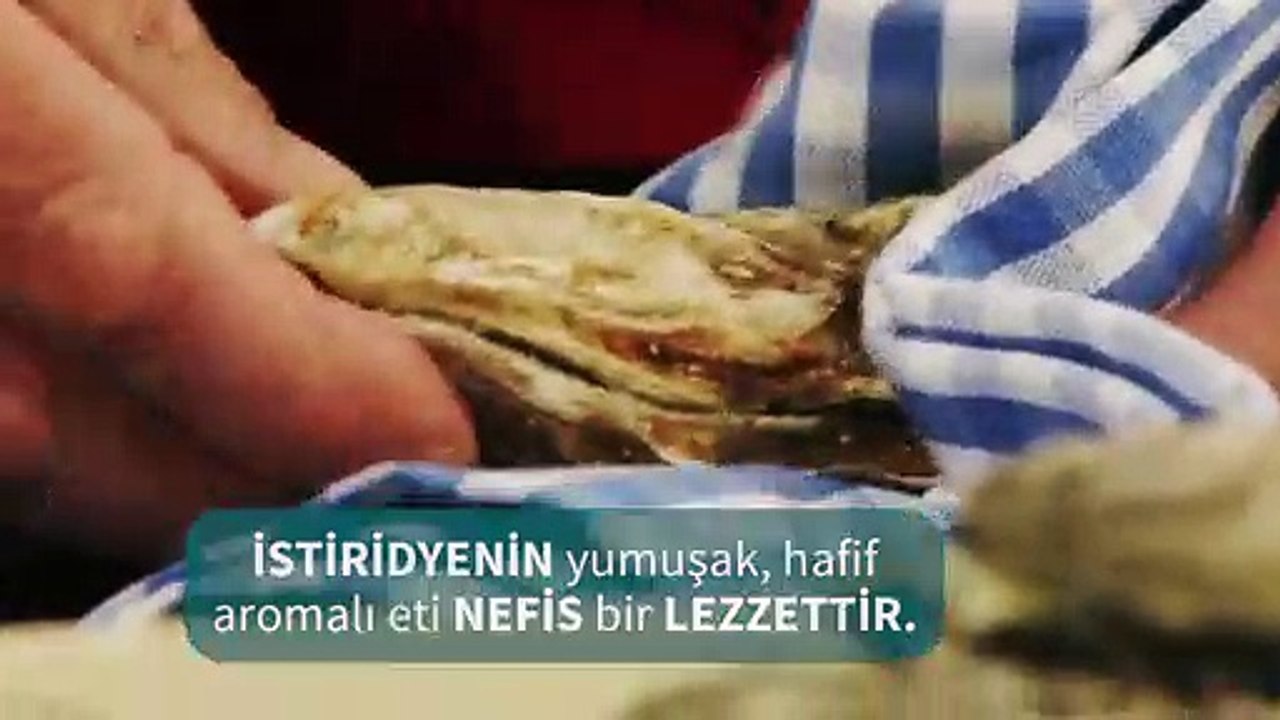 istiridye hazirlamak