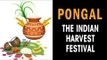 Pongal - The Indian harvest festival | Pongal 2018 | Artha - Amazing facts