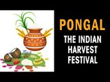 Pongal - The Indian harvest festival | Pongal 2018 | Artha - Amazing facts