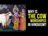 Why is the cow worshiped in Hinduism ? | Importance of Cow in Hindu Dharma | Artha - Amazing Facts
