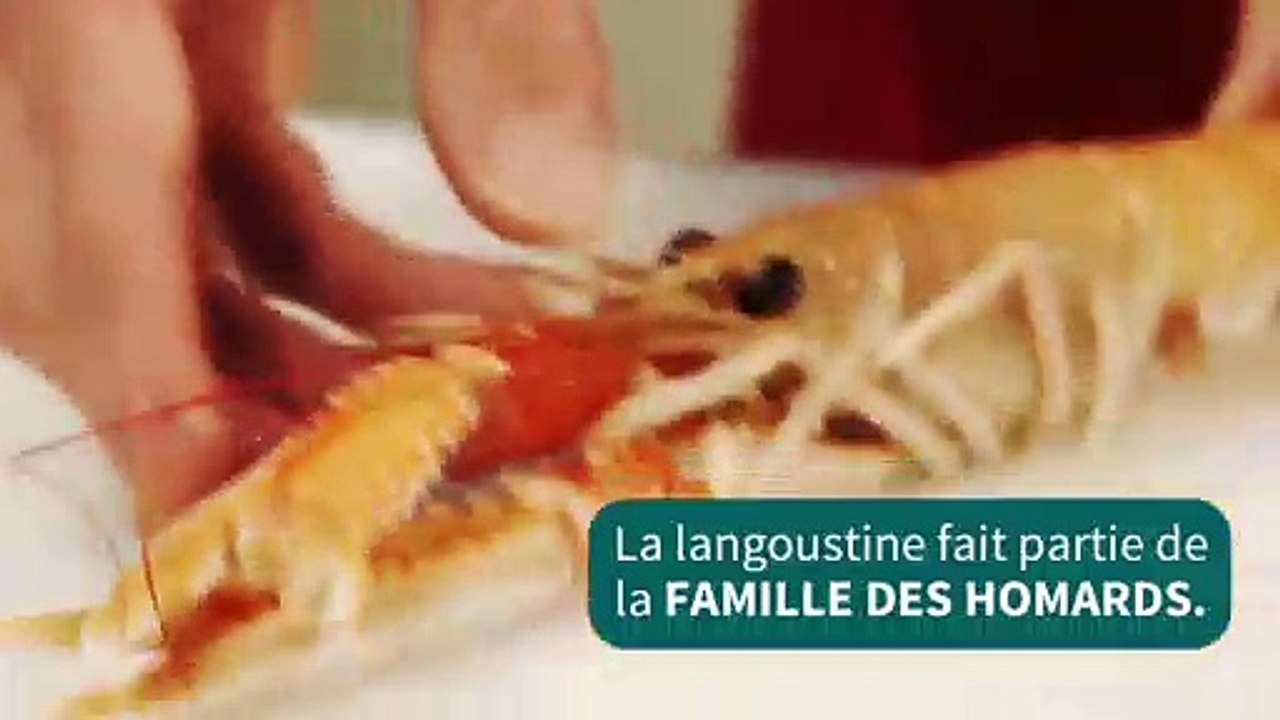 langoustines