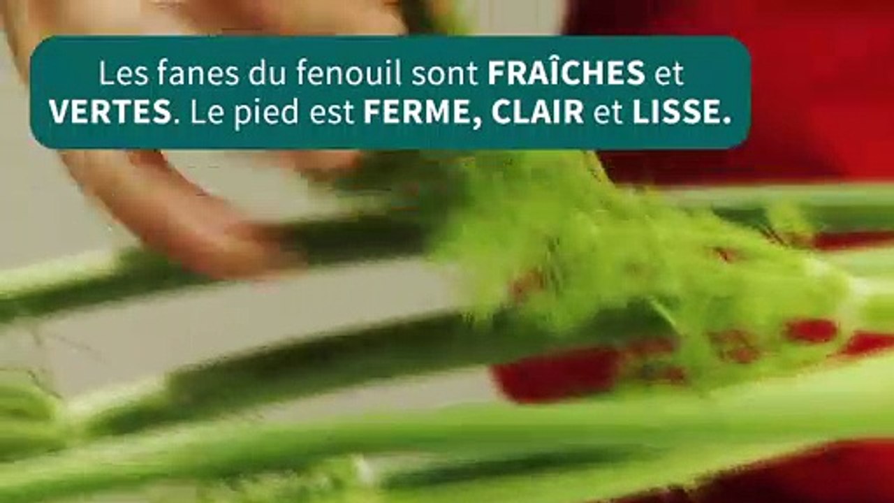 fenouil