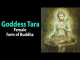 Goddess Tara - Female form of Buddha | Buddha Ka Stri rup hai Devi Tara | Artha - Amazing Facts