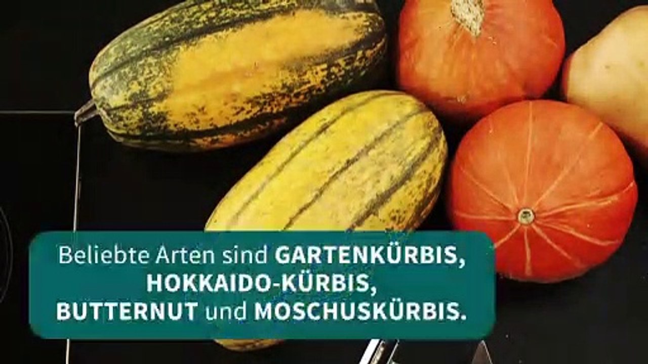 Die Kochschule - So einfach geht Kürbis