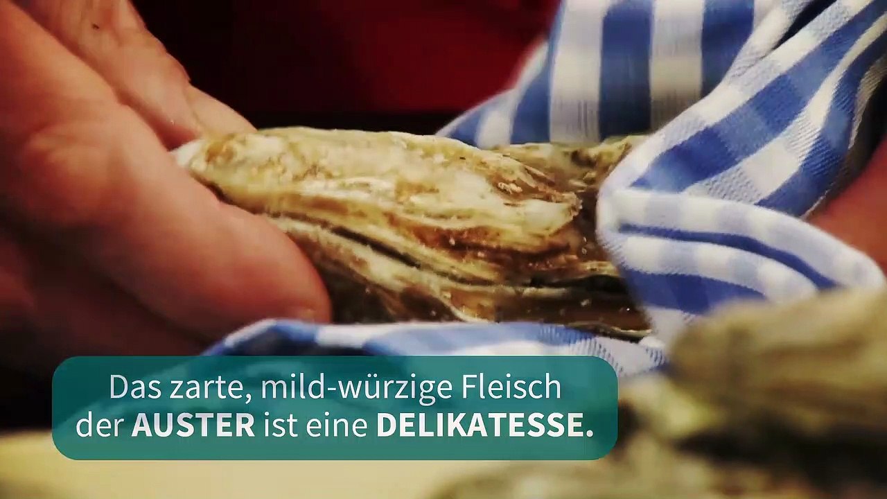 Die Kochschule - Austern vorbereiten