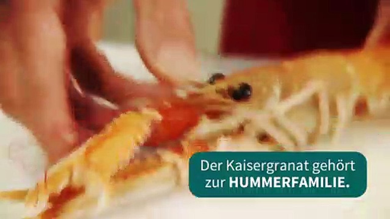 Die Kochschule - Kaisergranat vorbereiten