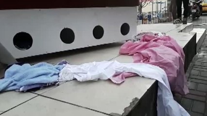 Sokak Köpeklerinin Kedievine Saldırısı Kamerada