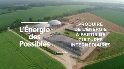 L'énergie des possibles : Produire de l’énergie à partir de cultures intermédiaires