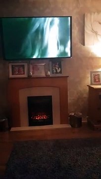 Adèle a un fan - ce bulldog chante avec elle !